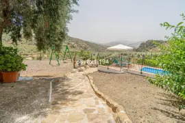 Image 8 thumb