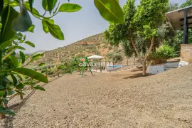 Image 12 thumb