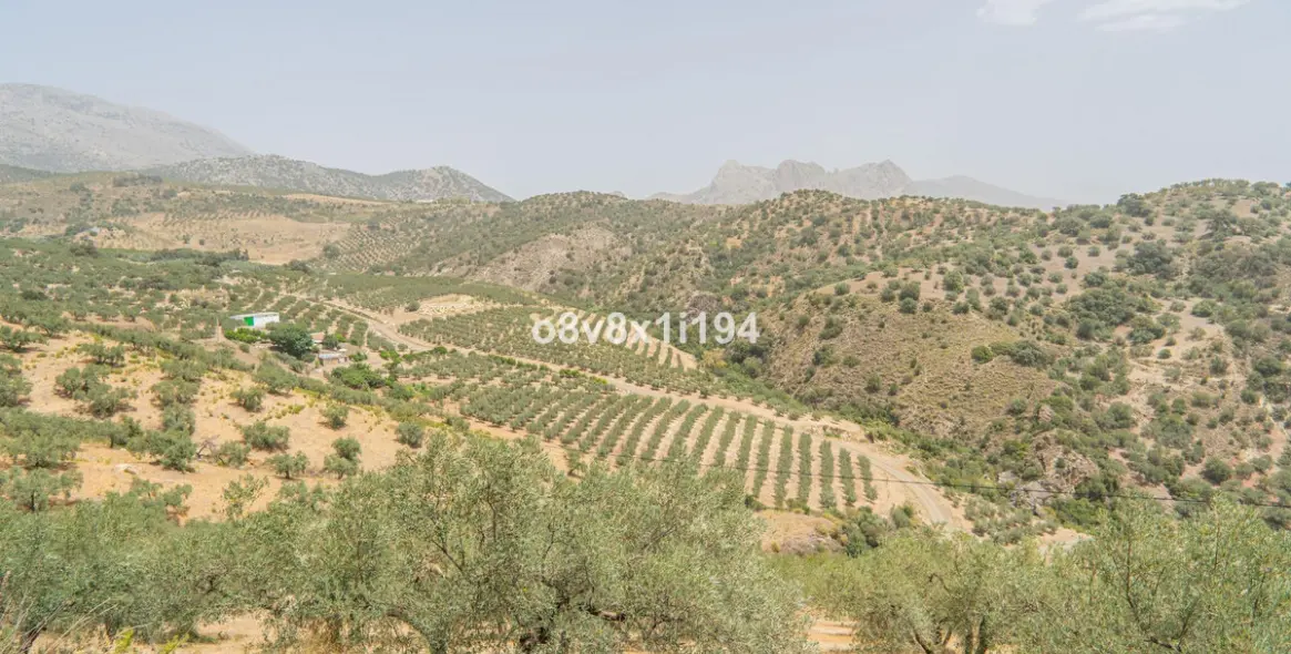 Venta de parcela residencial en Colmenar 13