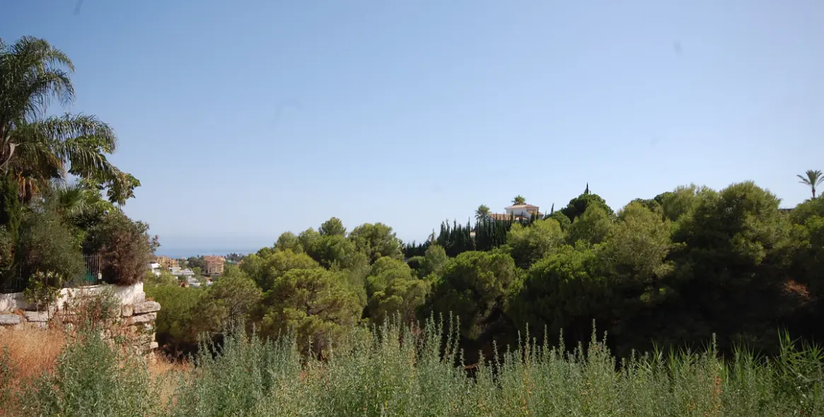Sale of detached villa in Selwo 5