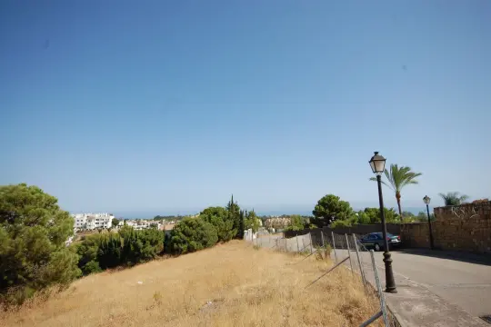 Image 4 thumb