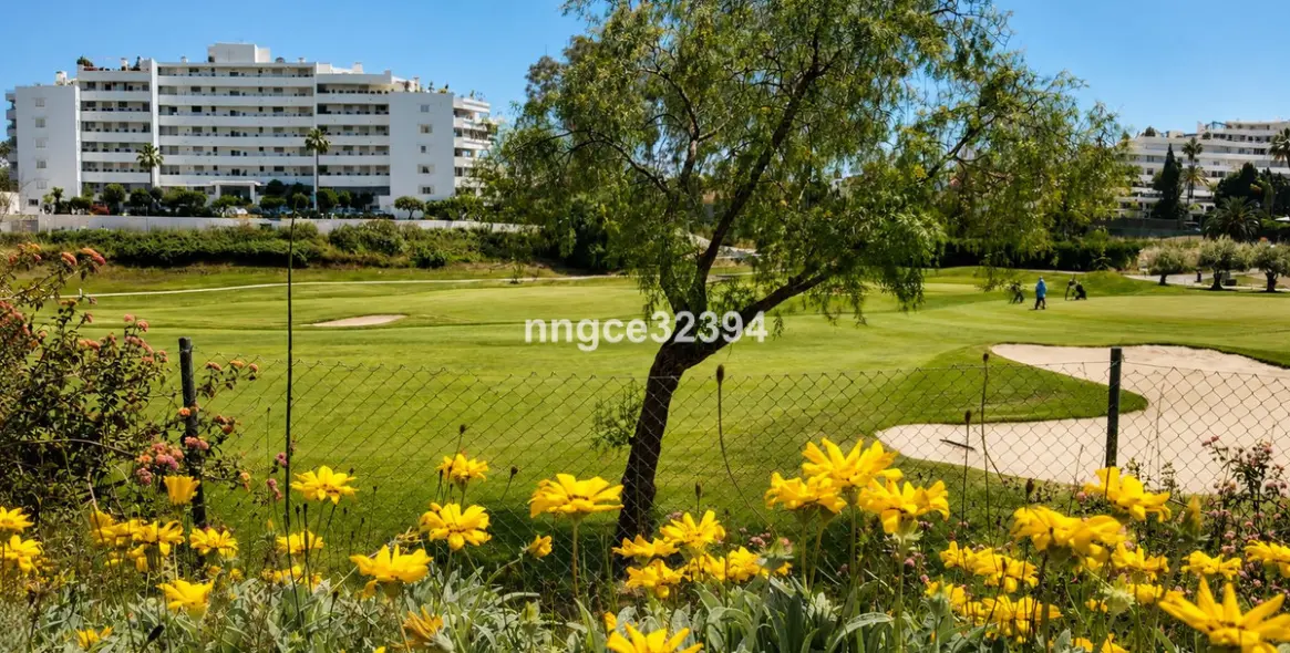 Продажа пентхауса в San Pedro de Alcántara 12