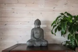 Image 20 thumb
