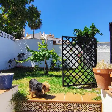 Sale of semi-detached house in Atalaya