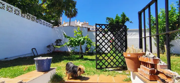 Sale of semi-detached house in Atalaya 3
