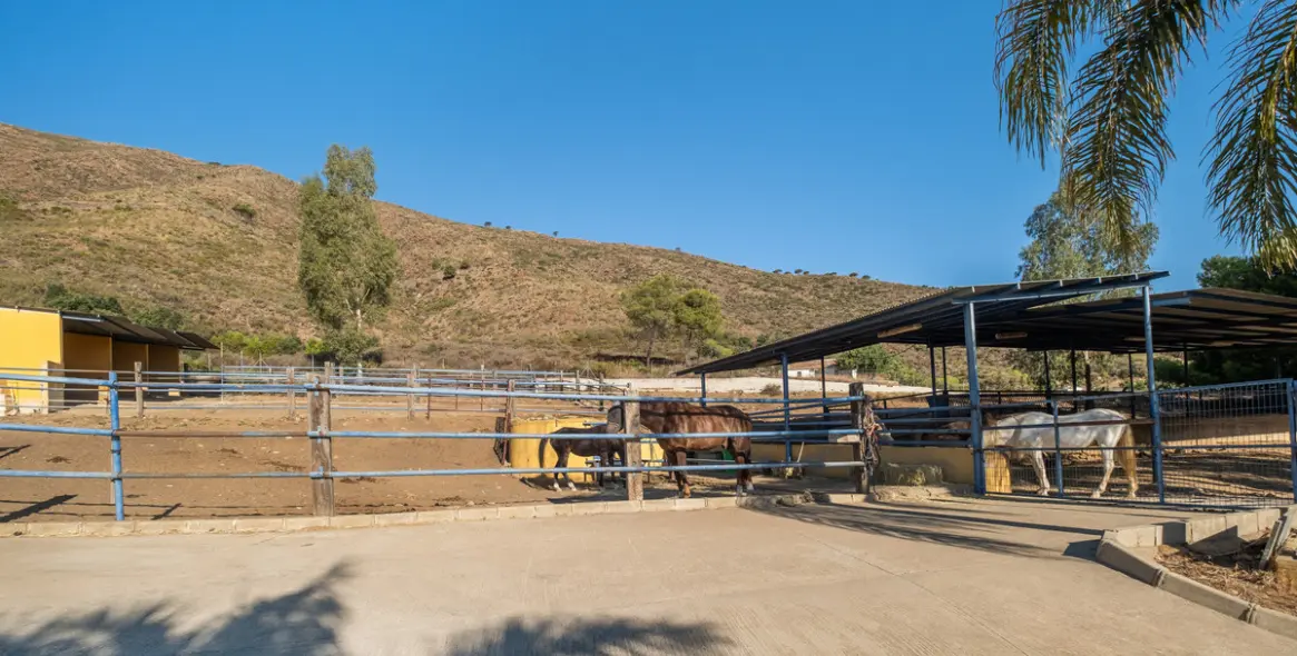 Venta de finca - cortijo en Mijas Costa 1