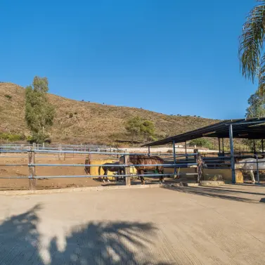 Venta de finca - cortijo en Mijas Costa