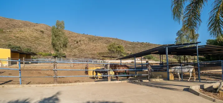 Venta de finca - cortijo en Mijas Costa 0