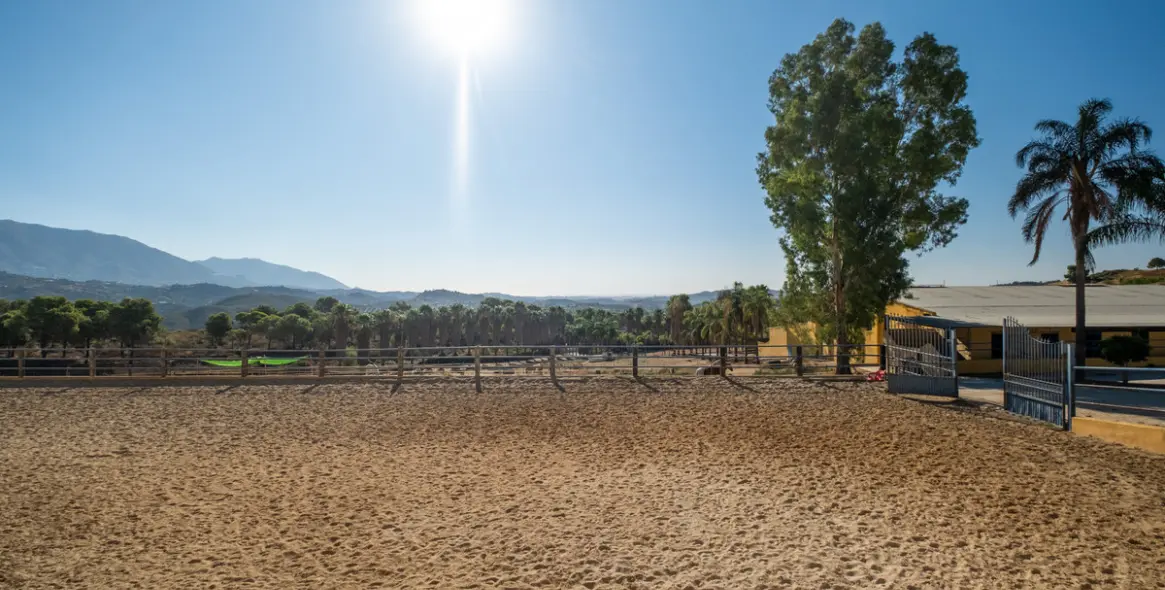 Venta de finca - cortijo en Mijas Costa 14