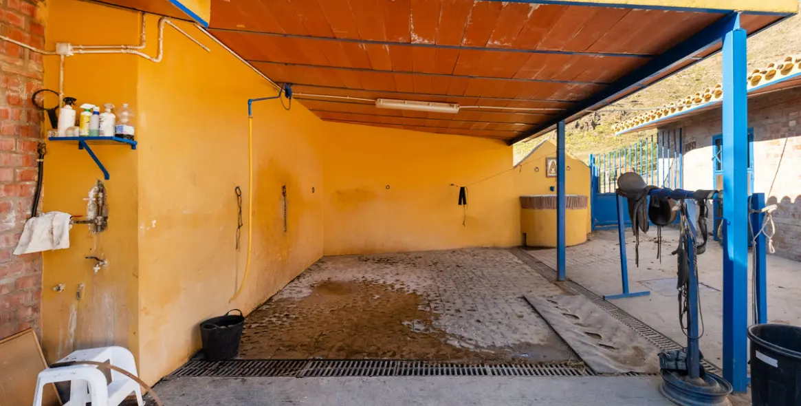 Venta de finca - cortijo en Mijas Costa 17