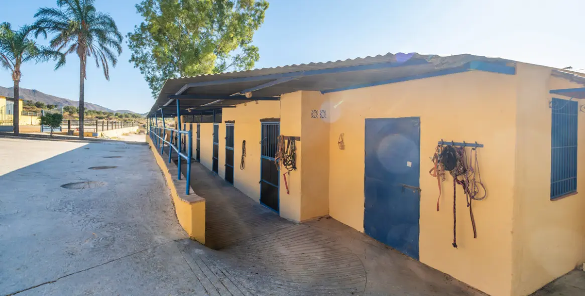 Venta de finca - cortijo en Mijas Costa 21