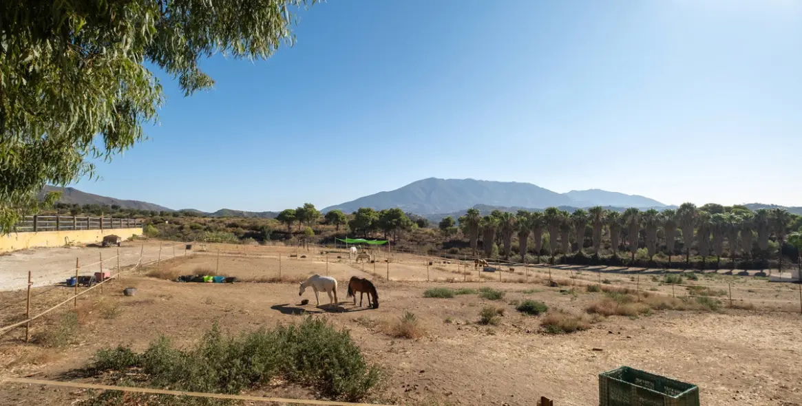 Venta de finca - cortijo en Mijas Costa 22