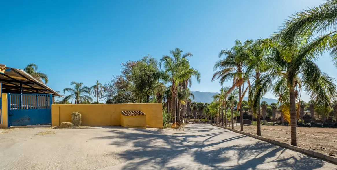Venta de finca - cortijo en Mijas Costa 27