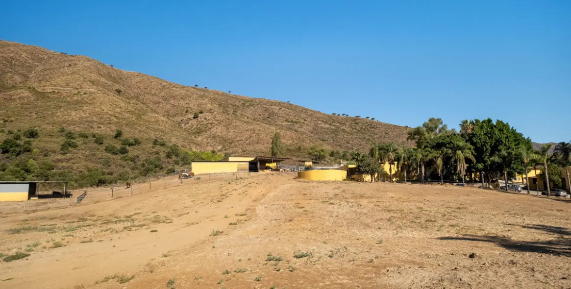 Venta de finca - cortijo en Mijas Costa 29