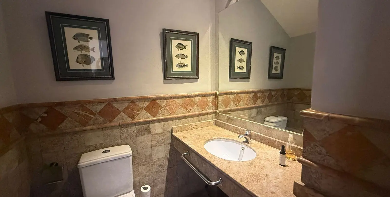 Sale of duplex in Estepona 11