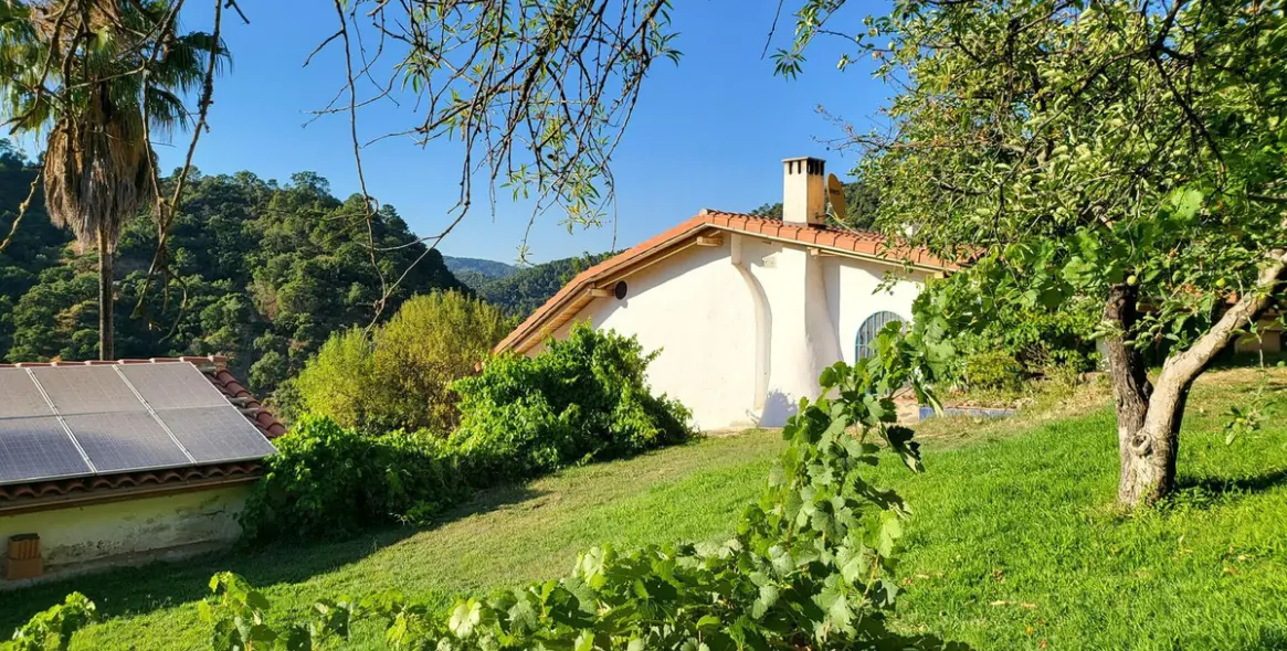 Sale of finca - cortijo in Genalguacil 2