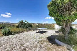 Image 6 thumb