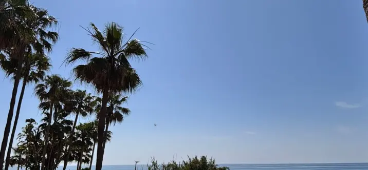 Sale of ground floor apartment in Estepona 4