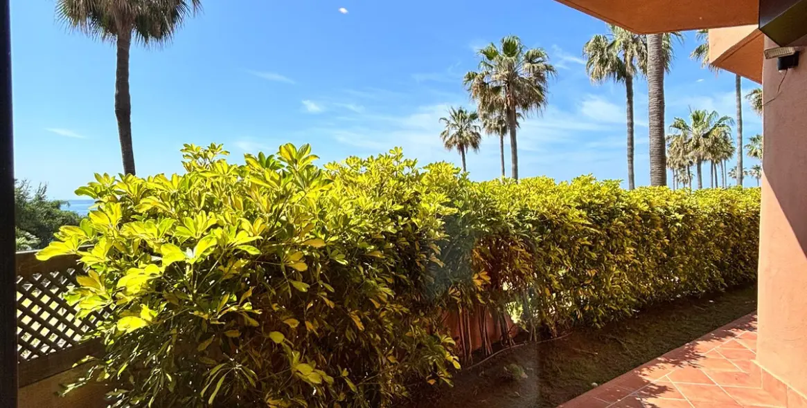 Sale of ground floor apartment in Estepona 10