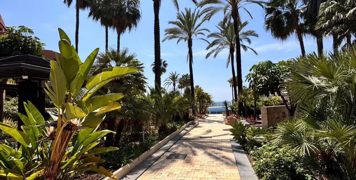 Sale of ground floor apartment in Estepona 21