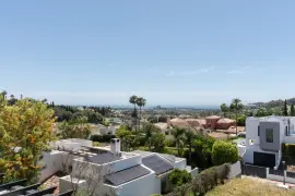 Image 6 thumb