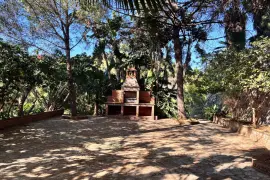 Image 15 thumb