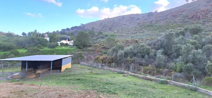 Venta de otros en Campo Mijas 1