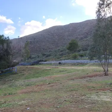 Venta de otros en Campo Mijas