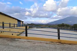 Image 6 thumb