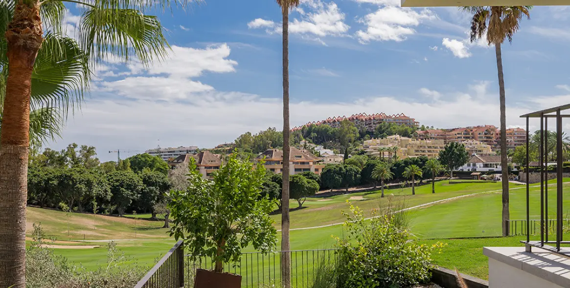 Sale of detached villa in Nueva Andalucía 25