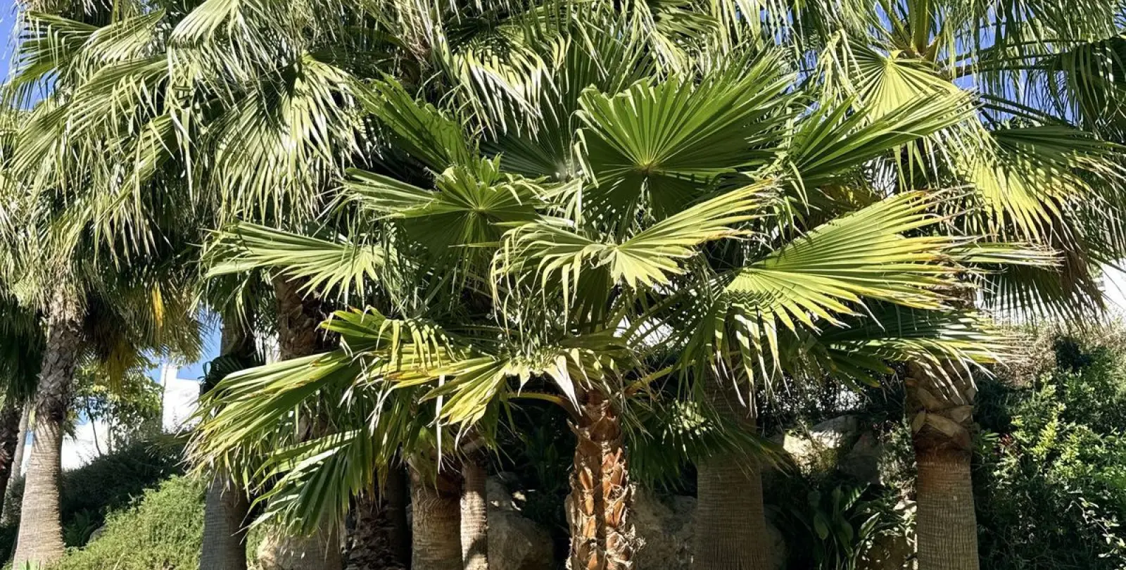 Venta de apartamento en planta media en Estepona 35
