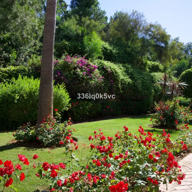 Sale of middle floor apartment in Los Arqueros