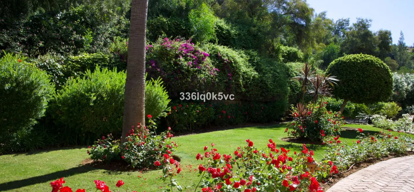 Sale of middle floor apartment in Los Arqueros 4