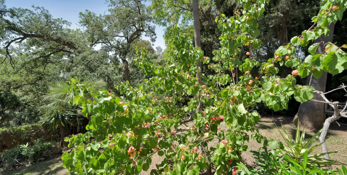 Venta de villa independiente en Hacienda Las Chapas 43