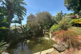 Image 67 thumb