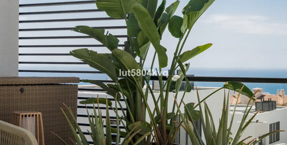 Venta de casa pareada en Riviera del Sol 24