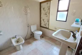 Image 12 thumb