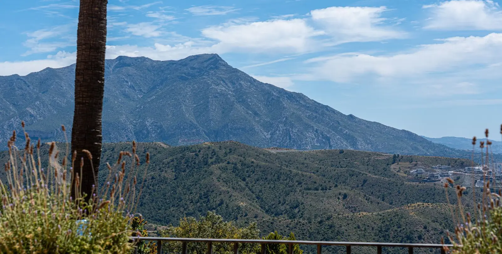 Sale of detached villa in La Zagaleta 59