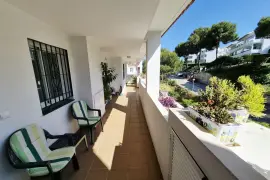 Image 7 thumb