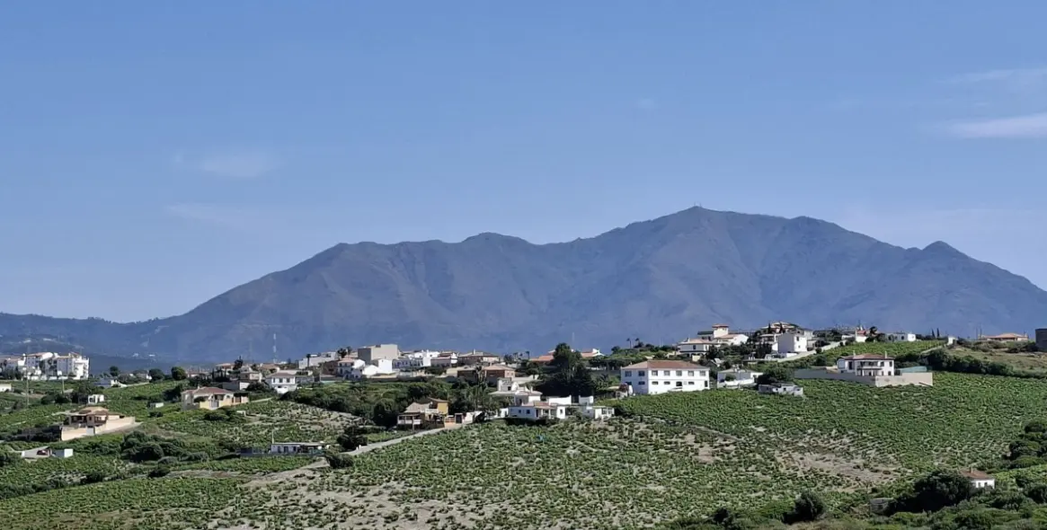 Venta de adosado en La Duquesa 8