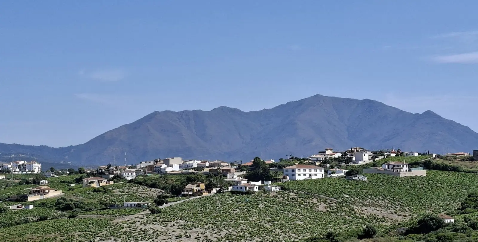 Venta de adosado en La Duquesa 8