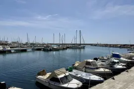 Image 5 thumb