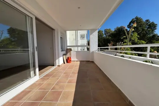 Image 4 thumb
