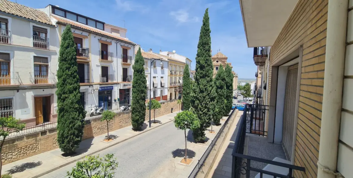 Продажа  отдельно стоящей виллы в Antequera 62