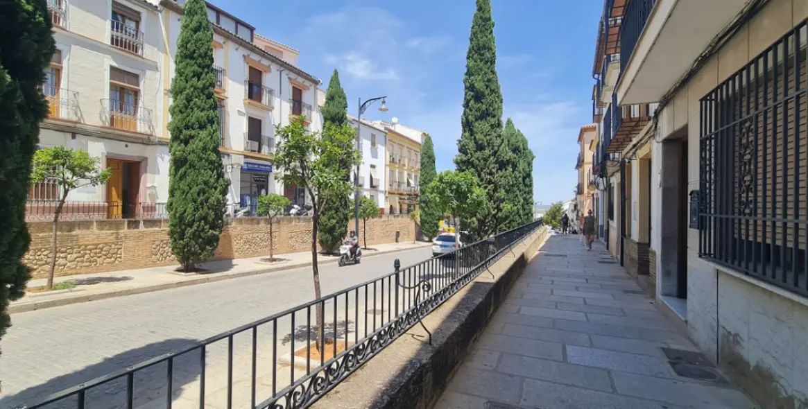 Продажа  отдельно стоящей виллы в Antequera 120