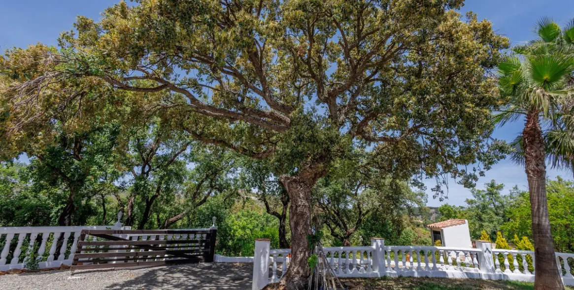 Venta de villa independiente en Coín 72