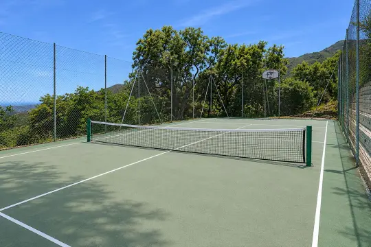 Image 79 thumb