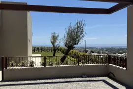 Image 7 thumb