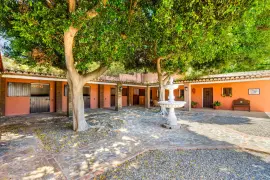 Image 2 thumb