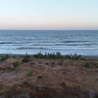 Venta de parcela residencial en Guadalmina Baja